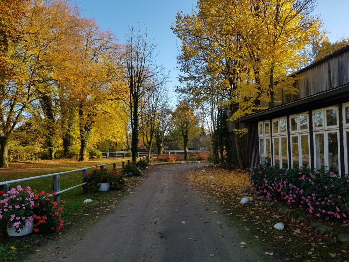Grosse, Helle Ferienwohnung Mit 2 Balkonen Auf Dem Bauernhof In Der Lueneburger Heide Oetzen Экстерьер фото