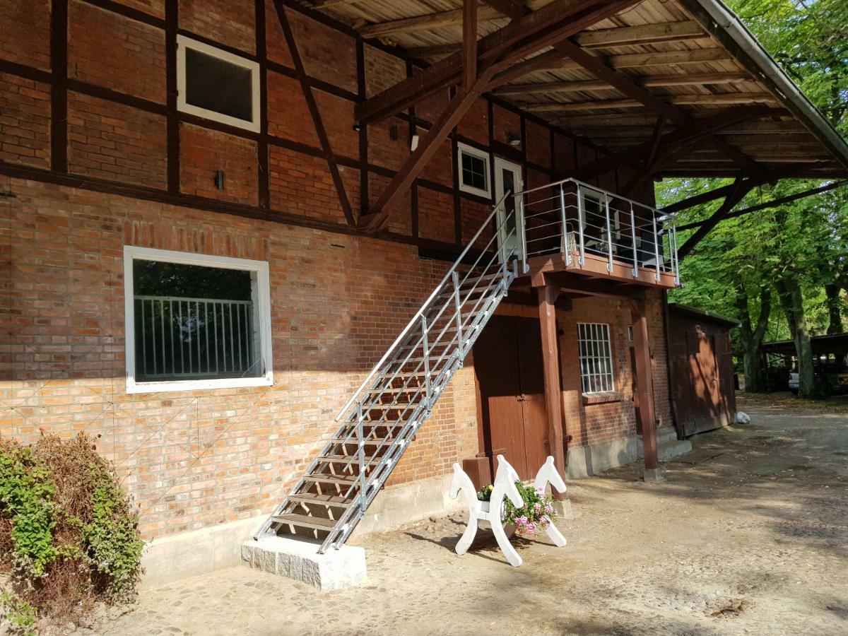 Grosse, Helle Ferienwohnung Mit 2 Balkonen Auf Dem Bauernhof In Der Lueneburger Heide Oetzen Экстерьер фото